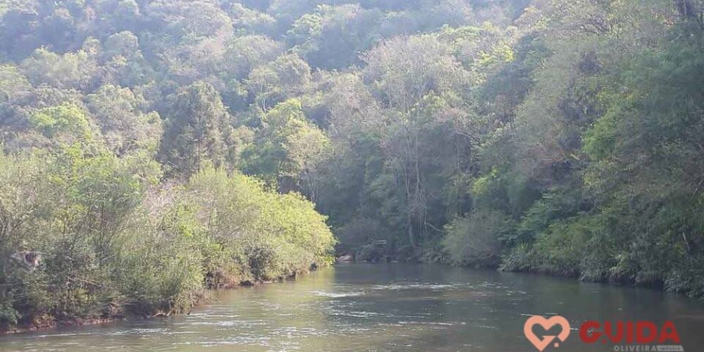 chacara-a-venda-em-catanduvas-pr (11)