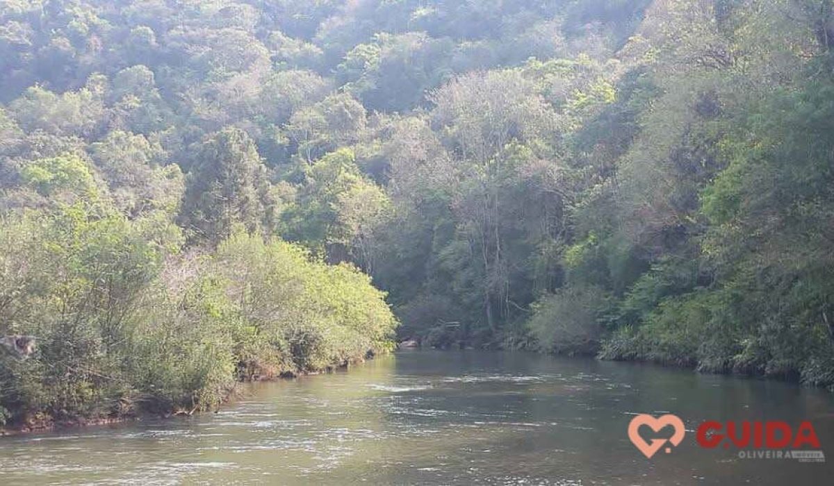 chacara-a-venda-em-catanduvas-pr (11)