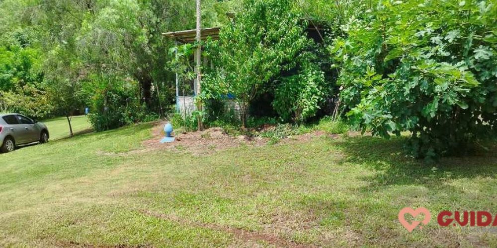 chacara-a-venda-em-catanduvas-pr (14)