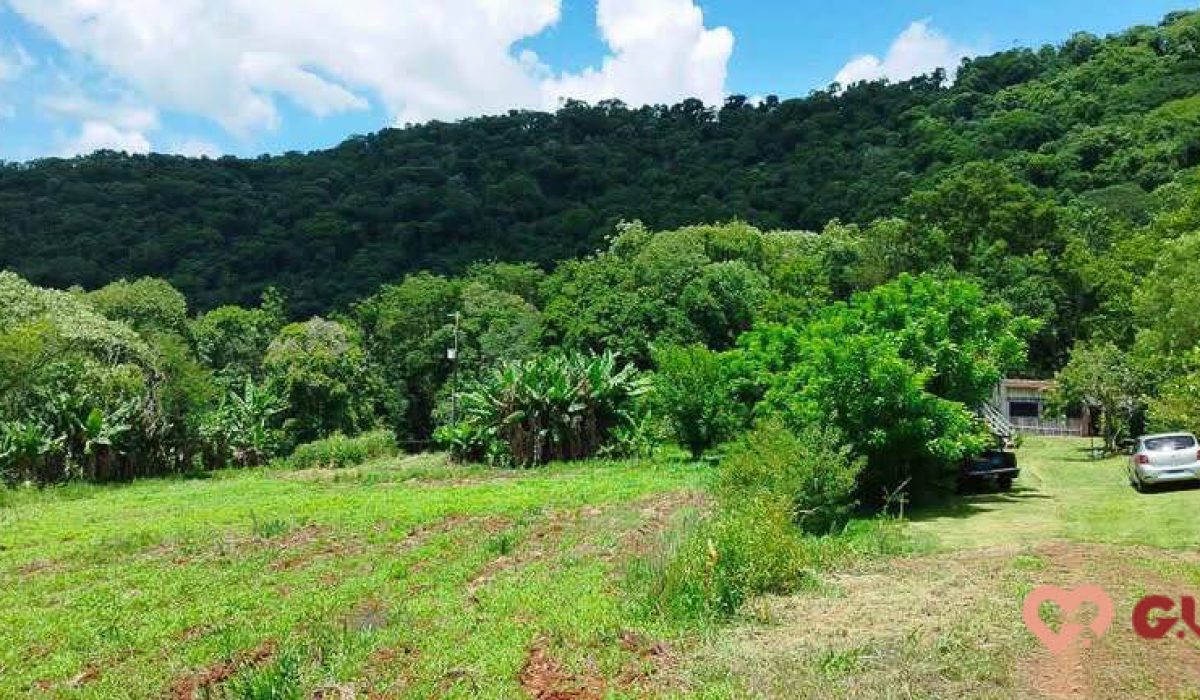 chacara-a-venda-em-catanduvas-pr (6)