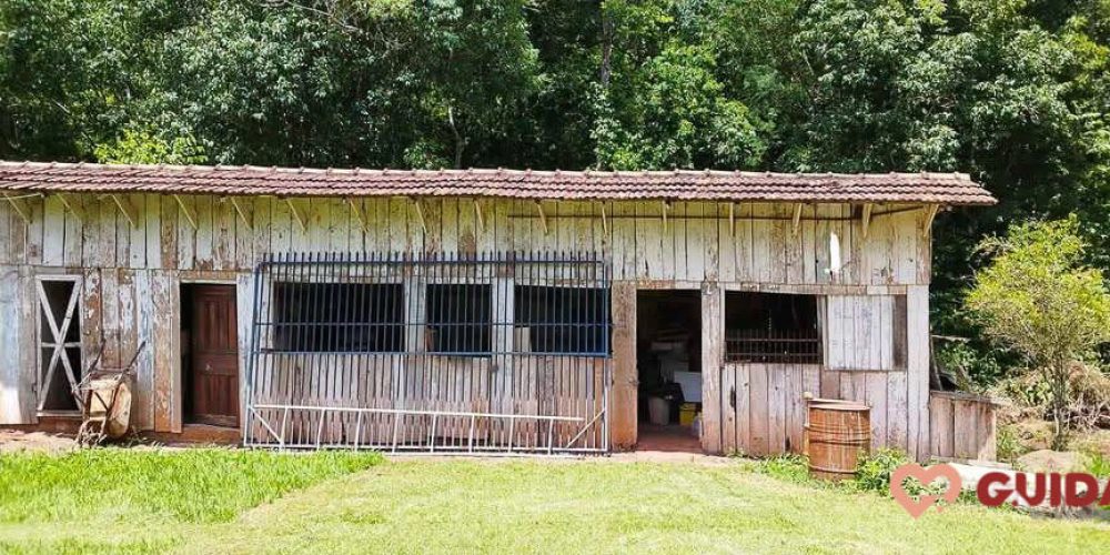 chacara-a-venda-em-catanduvas-pr (7)