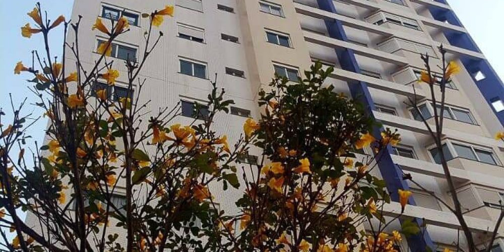 don-roman-apartamento-a-venda-cascavel-pr (4)-801