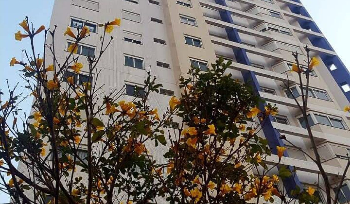 don-roman-apartamento-a-venda-cascavel-pr (4)-801