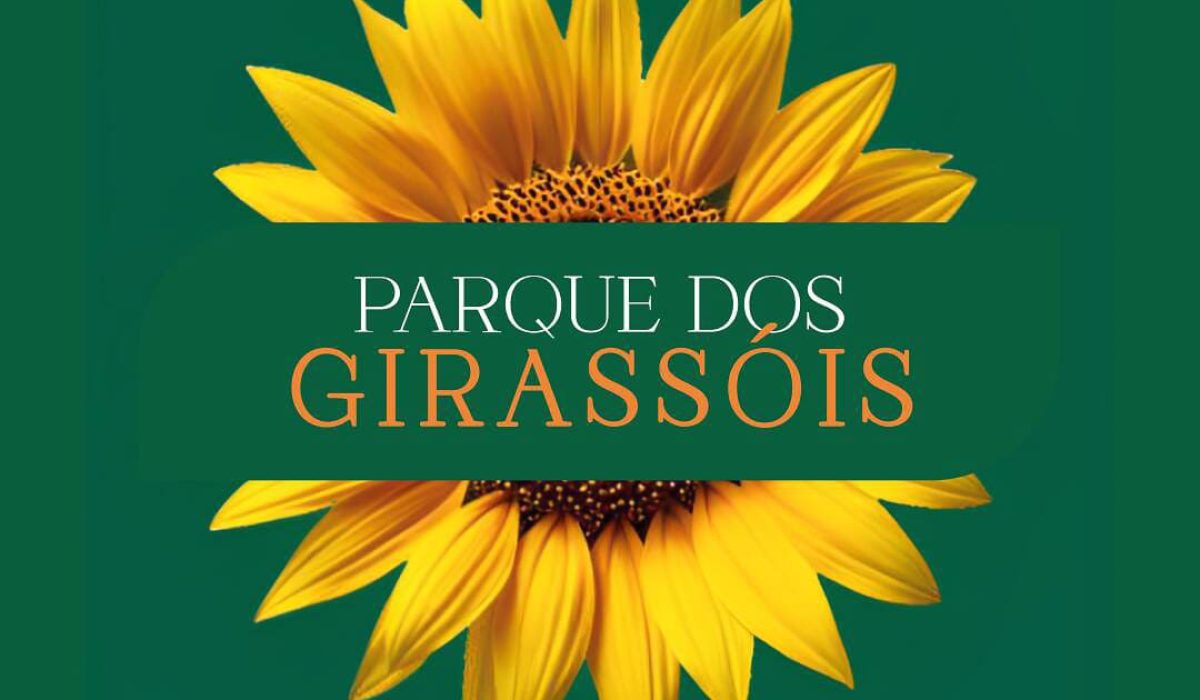 parque-dos-girassois-terreno-cascavel (2)